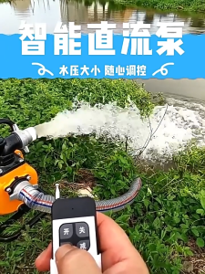 Pompa Air Pertanian DC 48V 900W Mesin Irigasi Waterpump Pompa Sedot Air Irigasi Sawah 2 Inch