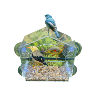 VOA | Bird Feeder with Suction Cup for Outdoor Use