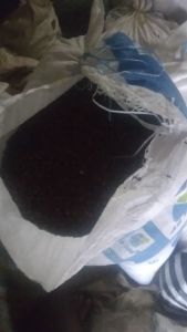 cengkeh kering bahan rempah/100grm