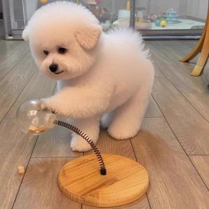 Pet Interactive Toy Dog Feeder Spring Cat Teaser Toy Dogs Physical Energy Expenditure Toys for Cats Intelligence Training