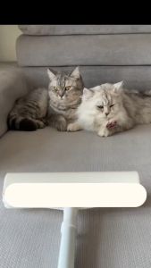 24cm รีฟิลลูกกลิ้งเก็บขน 30 รูปแบบ ลูกกลิ้งขจัดฝุ่น (รีฟิลลูกกลิ้ง) กระดาษเหนียว ไม่ทิ้งครบ