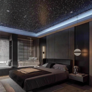 Starlight Ceiling Decorative Light