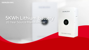 DEMUDA 5KWh & 10KWh Home Power Wall Storage System: Key Features & Benefits