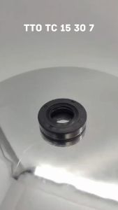 Seal Tc 15 30 7 TTO Seal Dinamo Ampere Alternatif Center Ps Fuso INB Original TTO