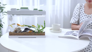 Aquarium Set for Sale Smart Aquarium Desktop Creative Ecological Fish Tank With Lid/filter LED Light/Water Pump Aquarium Set aquarium Set With Oxygen Aquarium Complete Set up