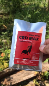 obat ampuh untuk ayam sakit muyungsnot ngorok pilek dan saluran pernafasa. kotoran hijauayam bangkok