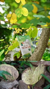 Sách - Chạy theo trái tim xanh - NXB Phụ nữ VN (Truyện thiếu nhi)