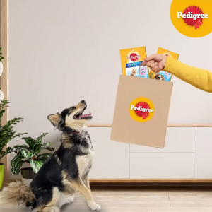 Bánh Xương Pedigree DentaStix Chó