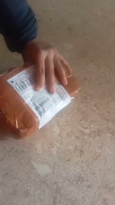 1 Buah Pinang Segar (Areca catechu) Buah Jambe Segar