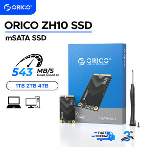 ORICO | ORICO ZH10 mSATA SSD SATA III 6Gbps 3D NAND Internal Solid State Drive 128GB 256GB 512GB 1TB for Laptops Ultrabooks Desktop-ZH10