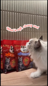 SmartHeart A Pro Mini Roll Cat Treats - Soft & Chewy [10g x 9 sachets] - 4 Real Chicken / Fish Taste