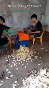 Máy  cắt lát các laoij củ quả như cà rốt  khoai  sắn miễn ship