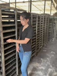 5kg than gáo dừa sale bất ngờ không nổ không tia lửa an toàn tiết kiệm