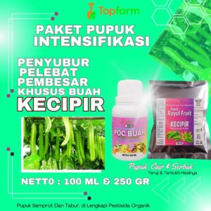 Pupuk Sayuran Kecipir: Solusi Optimal untuk Pertumbuhan Tanaman