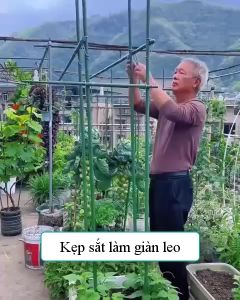 Giàn leo dùng làm khung đỡ giá đỡ hoa hồng leo giàn leo bầu bí mướp được làm bằng ống thép bọc nhựa