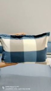 Gối nằm gối ngủ gối hơi gồm cả ruột gối và vỏ áo gối loại to dành cho người lơn 50 x70cm các mẫu kẻ vải cotton Hàn Quốc