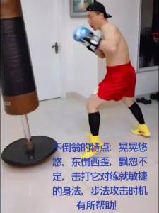 Punching Bag Standing Boxing Premium Punching Bag Training Fitness Boxing Bag Training Equipment Catharsis Sandbag Quality Assurance