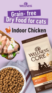 Wellness CORE - Grain-Free & High-Protein Nutrition Kibble Dry Cat Food | 5lb & 11lb (5 Recipes)