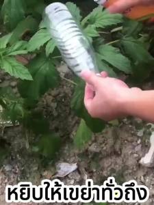 🐝ใช้ 1 ครั้ง ฆ่าแมลงวันทองได้ 100000 ตัว 🐝น้ำยาล่อแมลงวันทอง สารล่อแมลงวันทอง เมทิลยูจินอล ดักแมลงวันทอง ใช้1ครั้ง ฆ่าแมลงวันได้100000ตัว กับดักแมลงวันทอง ชนิดเหยื่อโปรตีน ยาล่อแลงวันทอง ผสมฟีโรโมน กันลมกันฝน เหยื่อโปรตีนล่อแมลงวันทอง ดักจับแมลงวันทอง