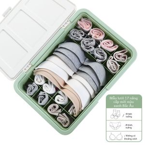 Ba Trong Một Quần Lót Tất Áo Ngực Người Tổ Chức Hộp Ký Túc Xá Sử Dụng Tại Nhà Chia Hộp Bảo Quản Sinh Viên Tinh Nhựa Màu Macaron