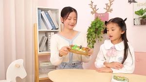 Đồ Chơi Xếp Hình Mê Cung Phiêu Lưu Khủng Long Trò Chơi Chiến Lược Montessori Trò Chơi Trượt Bóng Logic Train Thử Thách Giáo Dục Dành Cho Trẻ Em Từ 7 Tuổi Trở Lên