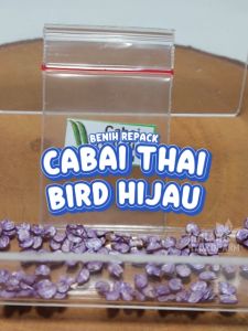 Benih Cabai Thai Bird Hijau Unggulan Berkualitas biji bibit repack rawit thailand burung peper pepper pedas pedes hydroponik hidroponik tanaman berbiji pot