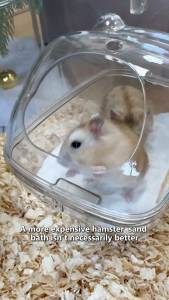 Hamster Bathroom Transparent Anti Splash Toilet Large Space Hamster Bathroom Hamster Accessories (S M L)