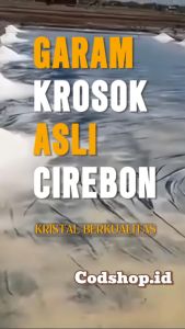 GARAM LAUT KROSOK ASLI 5kg dan 10KG Bumbu pelengkap GARAM KASAR GARAM LAUT MURNI KROSOK GROSIR garam dapur murah PROMO COD 20 KG GARAM KASAR KRISTAL KROSOK IKAN GRATIS ONGKIR