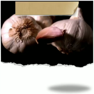 Black Garlic Asyifa Obat Herbal Kolesterol Isi 100 Gram