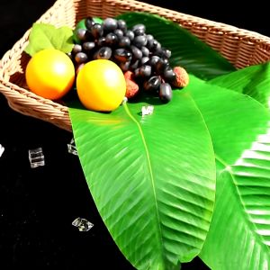 Suomi Fake banana leaf Artificial banana leaf Fake banana leaf S/M/L
