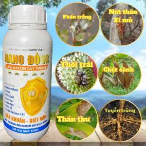 NANO ĐỒNG KHÁNG KHUẨN 500ML TĂNG KHẢ NĂNG MIỄN DỊCH BẢO VỆ CÂY TRỒNG