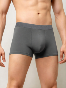 Baisina | Hyaluronic Acid Anti-Bacterial Cotton Silky Mens Underwear