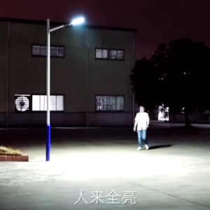 15-hole curved screen solar street lamp outdoor lighting courtyard lamp integrated with human body sensing function