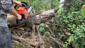 🔥รวมโซ่อะไหล่🔥 เครื่องตัดไม้ประหยัดน้ำมันพิเศษรุ่นอัพเกรด กำลังไฟสูง 2.1 กิโลวัตต์/7500 รอบต่อนาที/20 นิ้ว/เลื่อยยนต์มือถือ