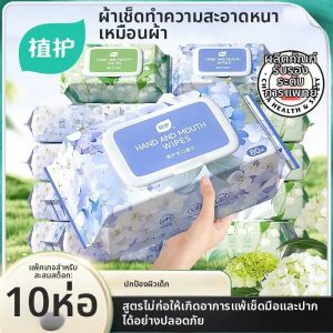Botare | Specialized Clean Wipes for Hands and Mouths