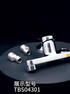 TOTO | Wall Mounted Handheld Shower with Lift Rod Pressurized