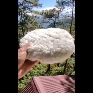 8 Inch/200mm Car Polisher For M16 Double Sided Natural Wool Buffing Pad