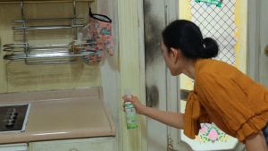 บ้านหอม สเปรย์ไล่แมลงกลิ่นไม้และลาเวนเดอร์ ป้องกันไฟ花及びแมลงหน้าต่าง 300ml