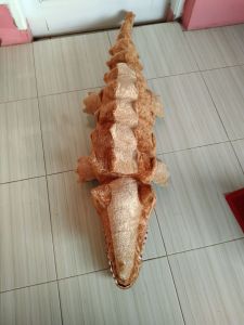 BONEKA BUAYA JUMBO BESAR 1 METER BIG GIANT SET HADIAH ULTAH KADO COWOK CEWEK DEWASA DAN ANAK MAINAN EDUKASI ANAK