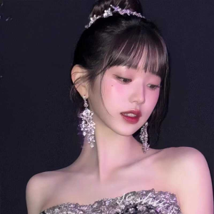 Zhang Yuan Ying Korean Celebrity Style Earrings High-End Stage Gown Accessories 925 Silver Needle Earrings for Women