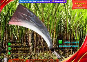 มีดตัดอ้อย จรัญ เบอร์2 มีดเมืองกาญ