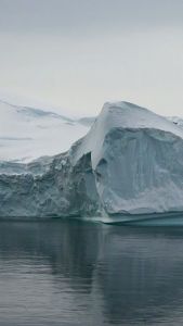 Duvaderm Phytovita Renewal Serum 15 ml