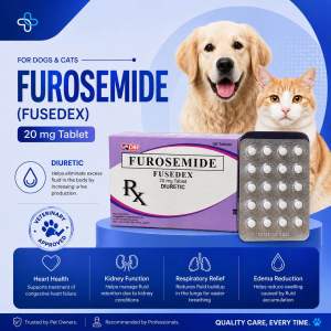 Furosemide (Fusedex) 20mg Tablet Diuretic for Dogs & Cats | Sold by 20’s Tablet