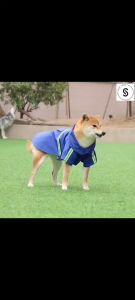 “LOCAL STOCK" Dog Raincoat Waterproof Reflective Slicker - Lightweight Breathable Hooded Poncho Rain Coat Jacket with Adjustable Belly Strap and Leash Hole for Small Medium Large DogsDog Raincoat Hooded Slicker Poncho for Small and large Dogs and Puppies