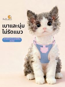 petlimit | Escape-Proof Non-Choke Cat Leash