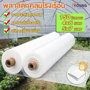 พลาสติก คลุมโรงเรือน 4x6 และ 5x7 เมตร เกรด A หนา 150 มกราคม ที่ UV7% และกันน้ำ/กันฝุ่น สำหรับการกันซึมหล