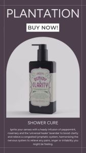 Shower Cure - Remedy To Clarity
