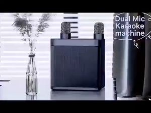 A-826 Professional Karaoke 3D Stereo Speaker Mic Device With Dual Wireless Microphone Speaker Porta