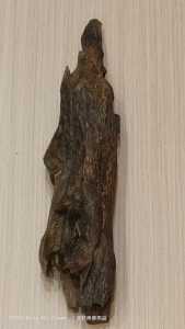Ant Nest Agarwood