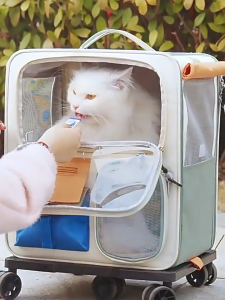 Detachable Pet Carrier Trolley Large Space Cat Bag with Wheels Portable Dog Backpack Outdoor Travel 15kg Load